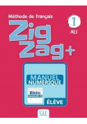 Zig Zag plus WERSJA CYFROWA 1 A1.1 podręcznik
